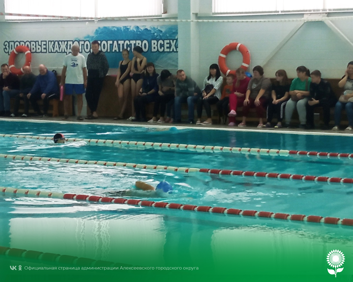 В Алексеевке в рамках открытого Первенства по плаванию прошли первые старты для юных пловцов