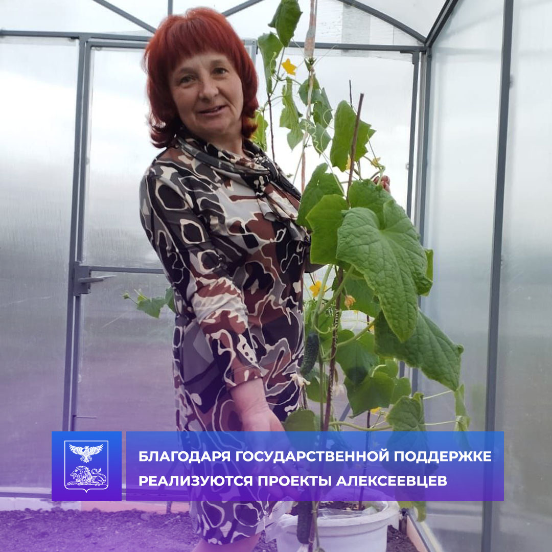 Жительница Алексеевского городского округа открыла личное подсобное хозяйство благодаря государственной финансовой помощи.