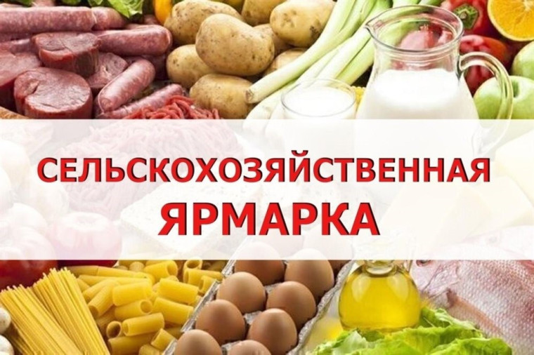 Внимание, ярмарка!. Внимание, ярмарка!.