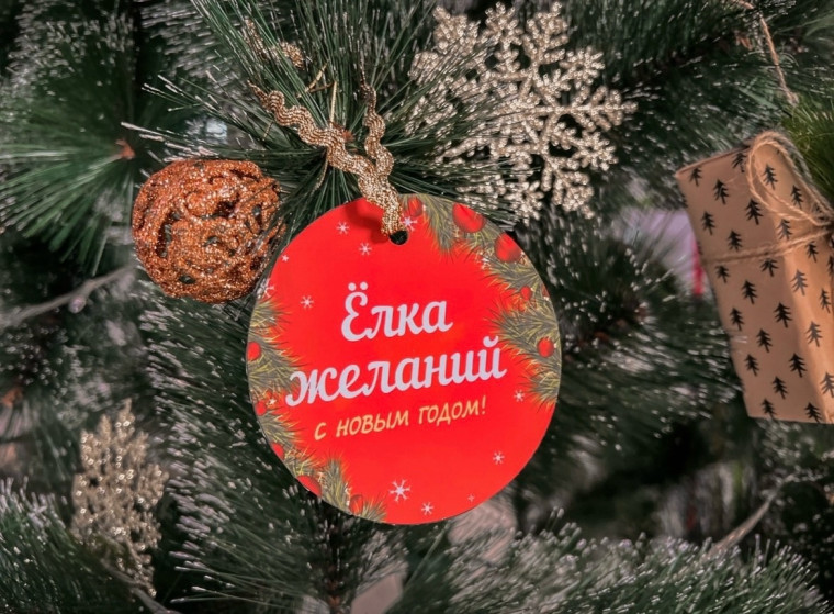 В Алексеевском городском округе стартовала акция «Ёлка желаний». В Алексеевском городском округе стартовала акция «Ёлка желаний».
