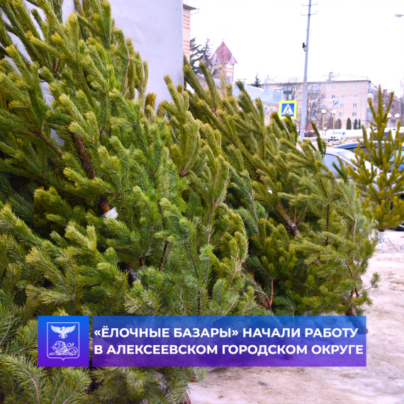 В преддверии Нового года в Алексеевском городском округе начали работать «Ёлочные базары». В преддверии Нового года в Алексеевском городском округе начали работать «Ёлочные базары».