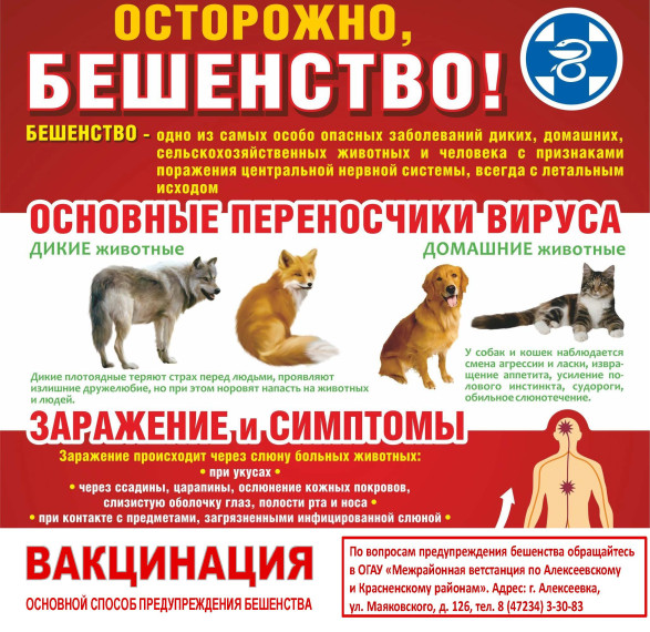 Осторожно, бешенство!. Осторожно, бешенство!.