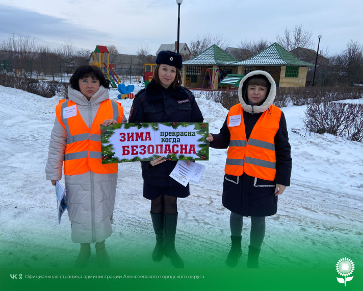 Сотрудник ОГИБДД ОМВД России по Алексеевскому городскому округу совместно с «родительским патрулем» детского сада №3 проверили безопасность зимних маршрутов юных участников движения.