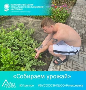 Собираем урожай. Собираем урожай.