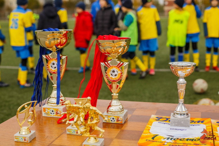 В Алексеевке прошёл Межобластной турнир по футболу.