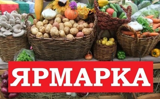 Уважаемые жители Алексеевского муниципального округа!. Уважаемые жители Алексеевского муниципального округа!.