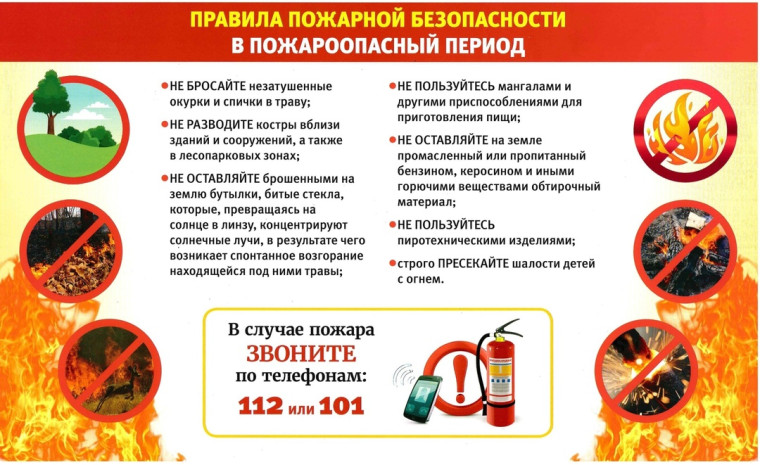В зависимости от места возникновения ландшафтных пожаров они подразделяются на: лесные, степные, полевые и другие.