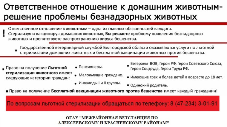 Ответственное отношение к домашним животным - решение проблемы безнадзорных животных!. Ответственное отношение к домашним животным - решение проблемы безнадзорных животных!.