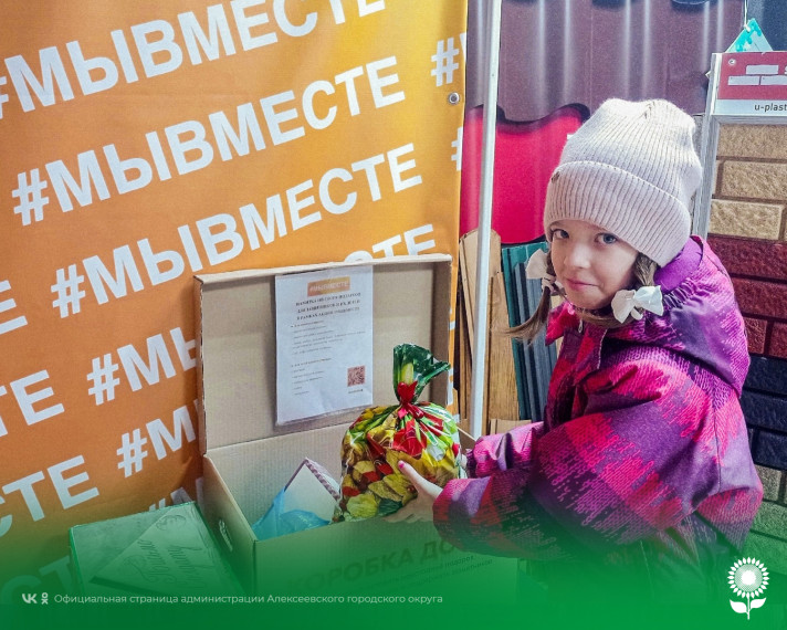 В Алексеевском городском округе завершилась Общероссийская акция #МЫВМЕСТЕ по сбору подарков для военнослужащих.
