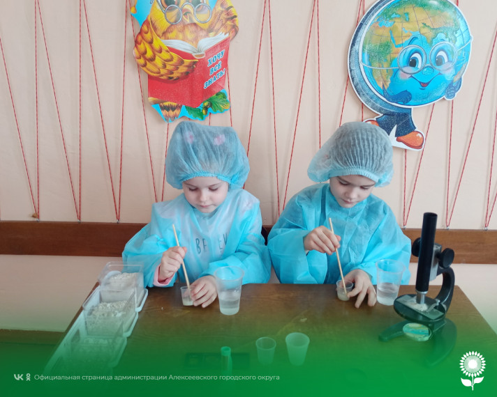 В детских садах Алексеевского городского округа прошел День российской науки.