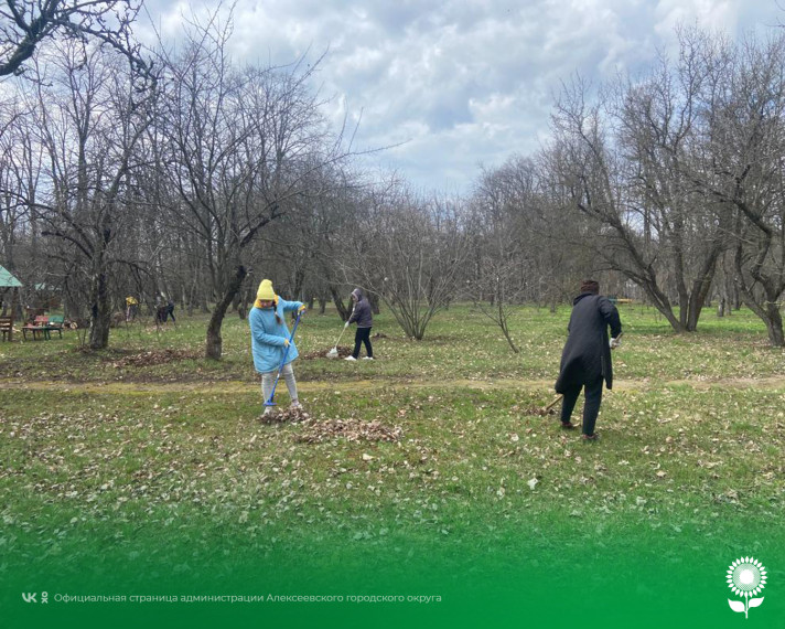 На территории Алексеевского городского округа  1 апреля стартовал экологический месячник.