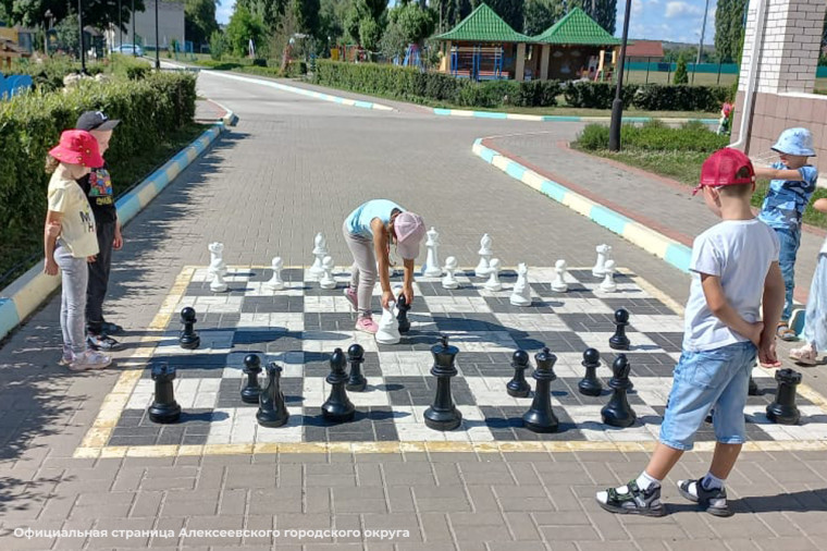 Сегодня в детских садах Алексеевского городского округа прошёл тематический день, посвященный Международному дню шахмат.