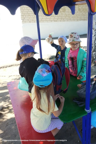 В детских садах Алексеевского городского округа прошел день, посвящённый неожиданным находкам.
