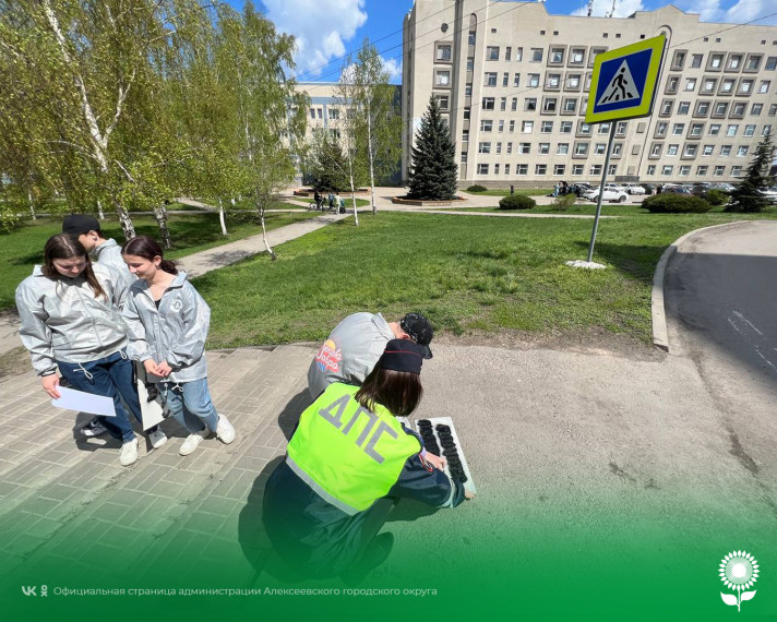 В Алексеевке сотрудники Госавтоинспекции совместно с волонтерами обновили предупреждающие надписи по дорожной безопасности вблизи пешеходных переходов.