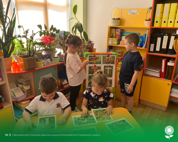 В детских садах Алексеевского городского округа прошли занятия по основам безопасности жизнедеятельности «Накануне лета».