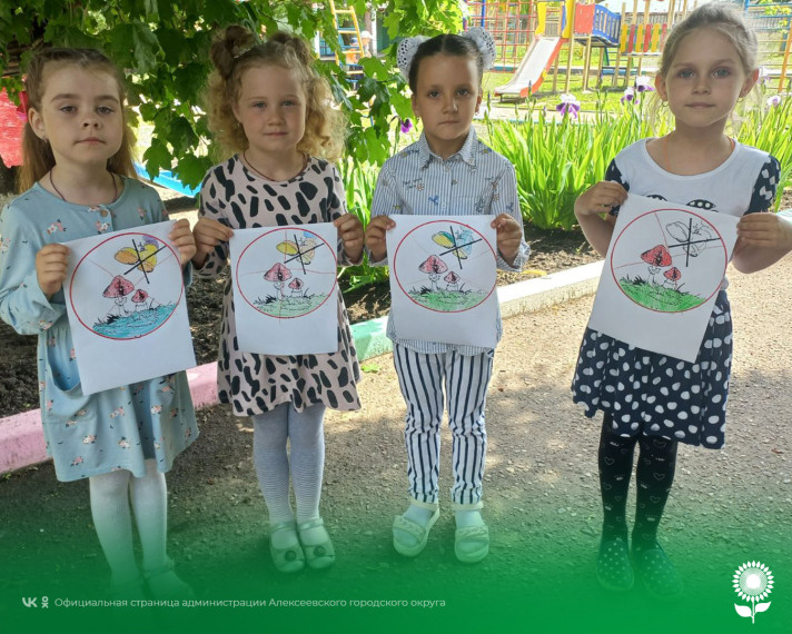 В детских садах Алексеевского городского округа прошли занятия по основам безопасности жизнедеятельности «Накануне лета».