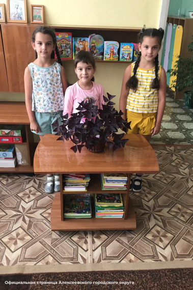 В детских садах Алексеевского городского округа прошло тематическое мероприятие – День комнатных растений.