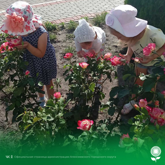 В детских садах Алексеевского городского округа прошел день цветов!.