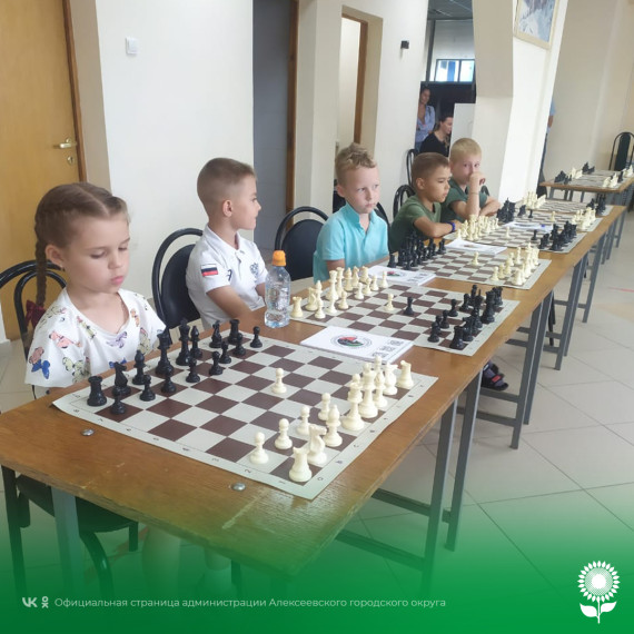 В Алексеевке состоялся сеанс одновременной игры по шахматам с юными шахматистами.