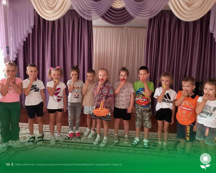 В детских садах Алексеевского городского округа прошла фольклорно-игровая программа «Спасские забавы».
