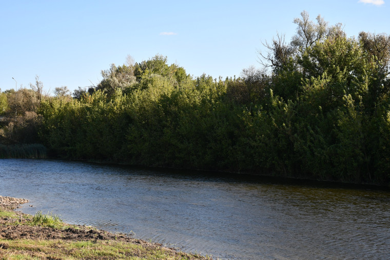В Алексеевском городском округе состоялась приёмка работ по очистке реки Тихая Сосна.