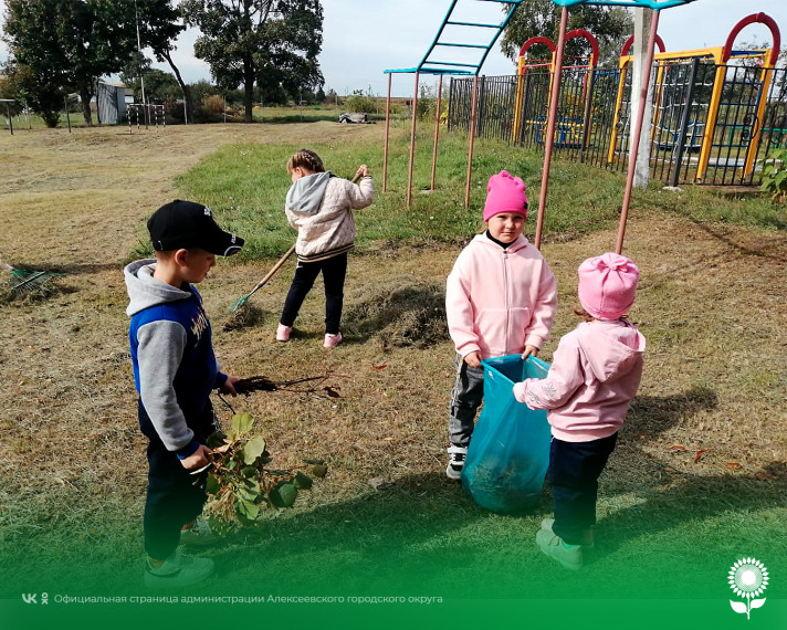 В детских садах Алексеевского городского округа прошел тематический день, посвященный Всемирному дню чистоты.