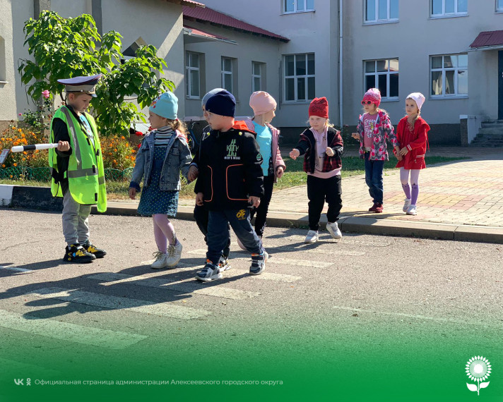 Во всех дошкольных образовательных организациях Алексеевского городского округа проходит неделя безопасности дорожного движения.