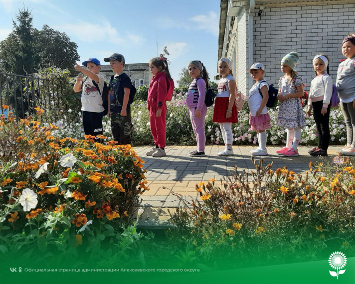 Прививая детям любовь к здоровому образу жизни, педагоги детских садов Алексеевского городского округа организовали День туризма.