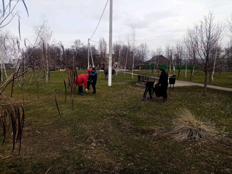 На территории Алексеевского городского округа с 1 апреля стартовал экологический месячник.