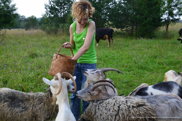 Грантовая поддержка «Агротуризм».