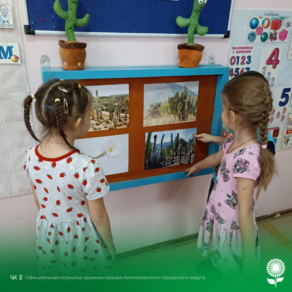 В детских садах округа прошёл тематический день, посвящённый колючим красавцам, которые любят засушливые места - Кактусам.