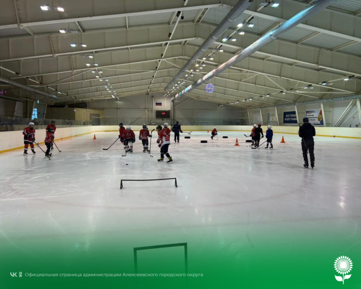 В Ледовом дворце «Невский» в рамках Дня зимних видов спорта 2024 состоялся Фестиваль по хоккею с шайбой.