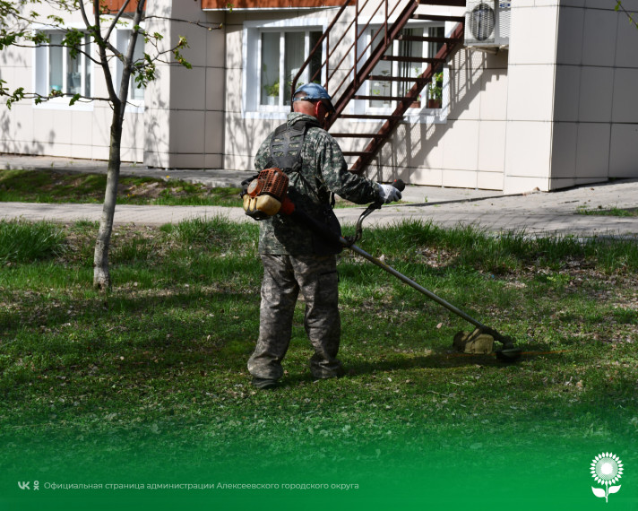 В Алексеевском городском округе активно ведутся работы по подготовке к весенне-летнему сезону.