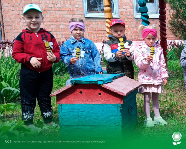 В детских садах Алексеевского городского округа прошёл День Пчёл.