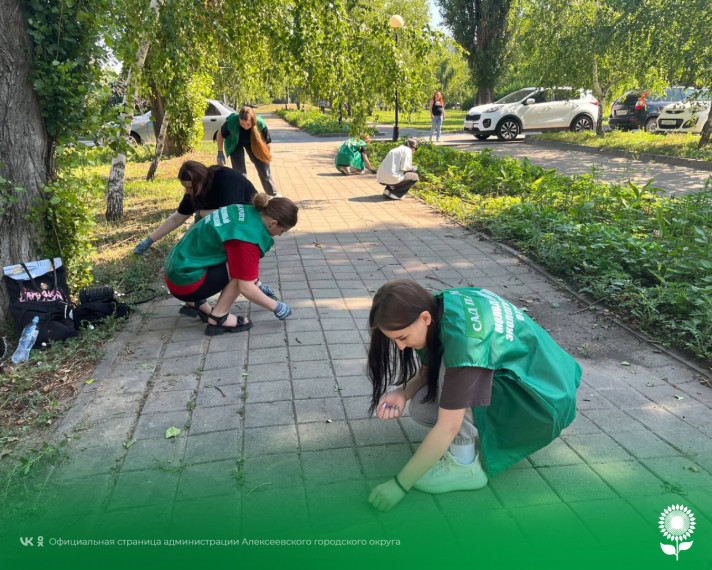 Алексеевские студенты и школьники помогают благоустраивать город.