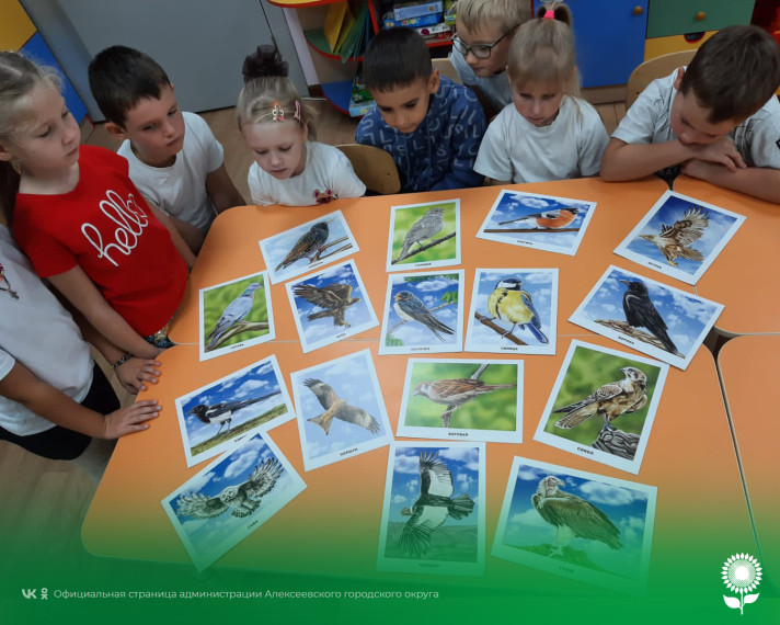 В детских садах Алексеевского городского округа прошел тематический день «Перелетные птицы».