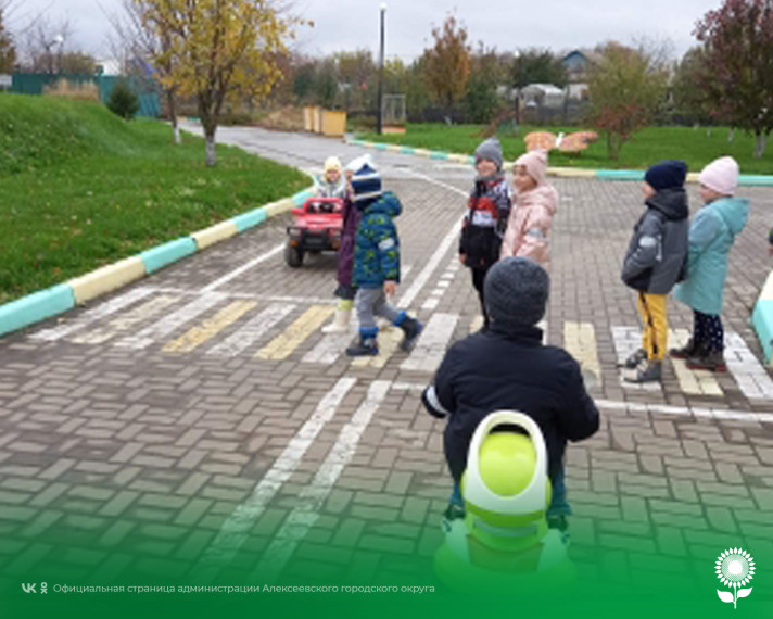 В детских садах Алексеевского городского округа отметили День Рождение пешеходного перехода.